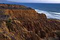 Torrey Pines 011