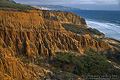 Torrey Pines 028